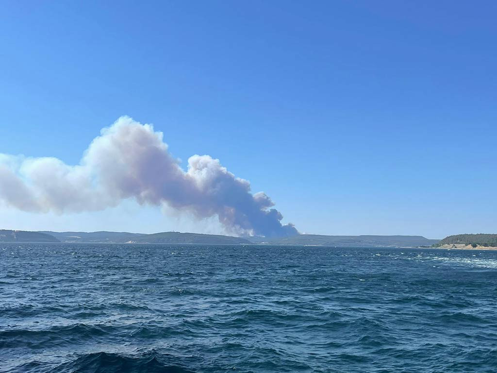 Canakkale Bogazi Gemi Trafigi Orman Yangini 18062024 Aa (4)