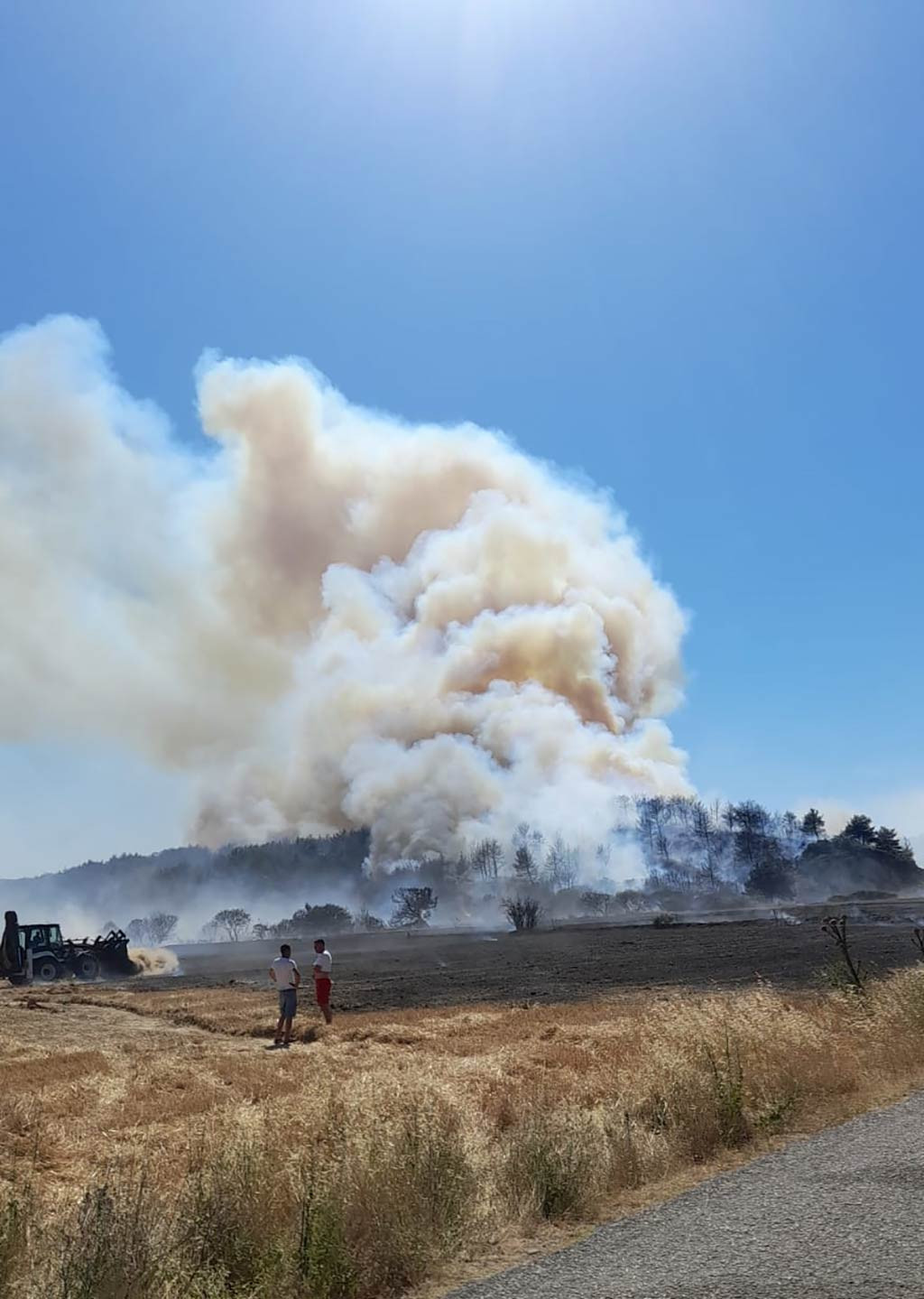Canakkale Bogazi Gemi Trafigi Orman Yangini 18062024 Aa (5)