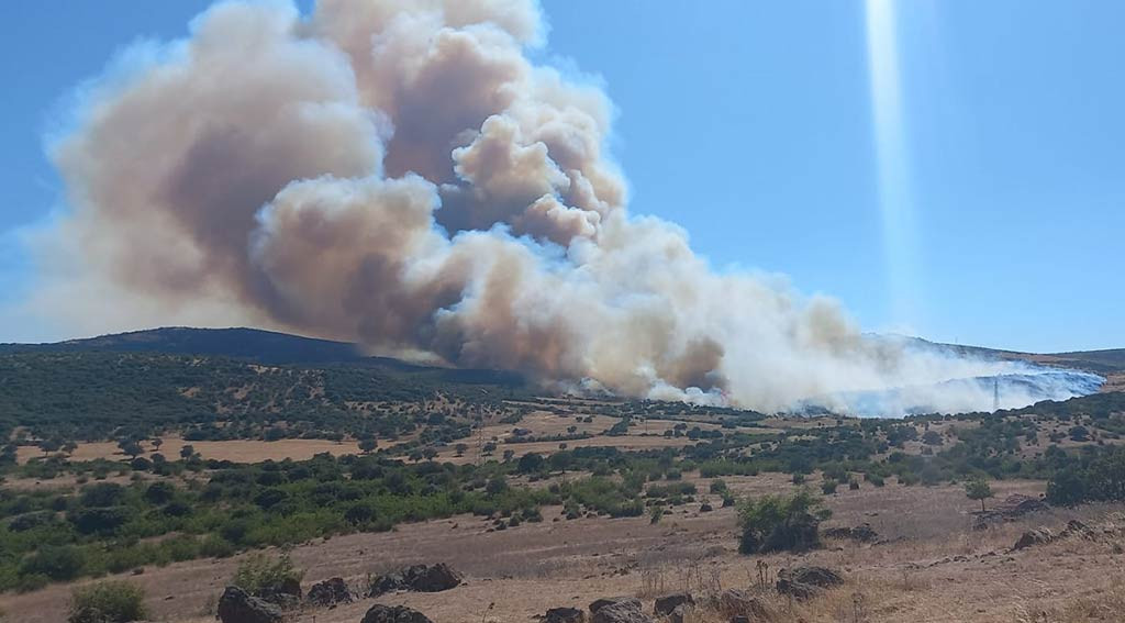 Canakkale Orman Yangini 24062024 Iha (7)
