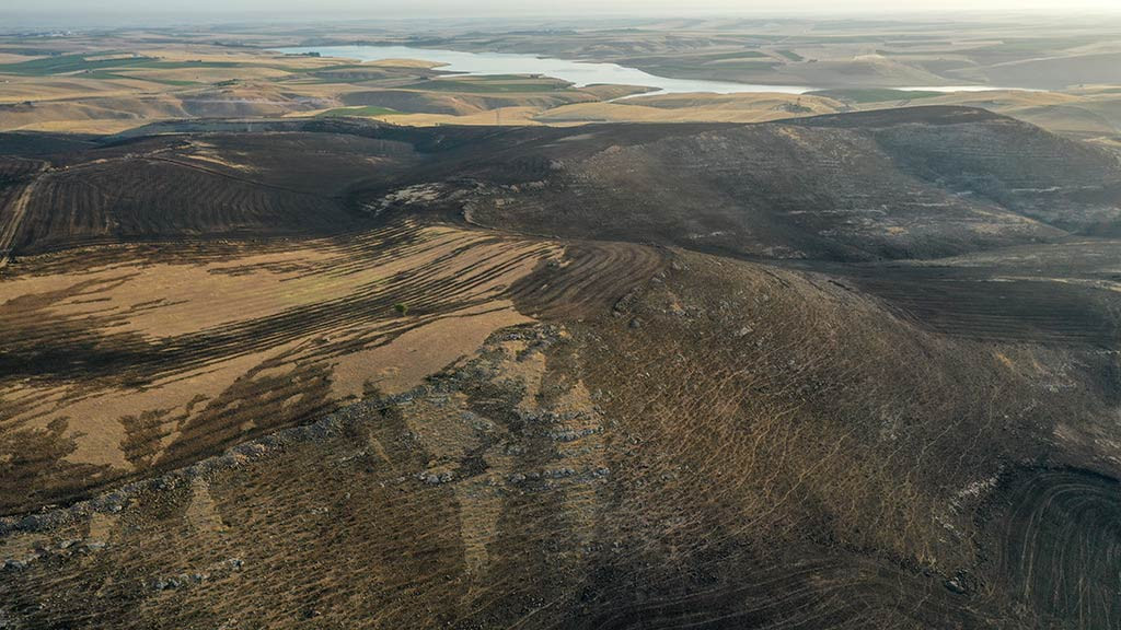 Diyarbakir Aniz Yangini 21062024 Aa (3)