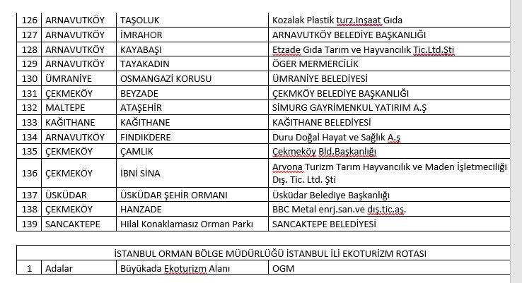 Istanbul Orman 7