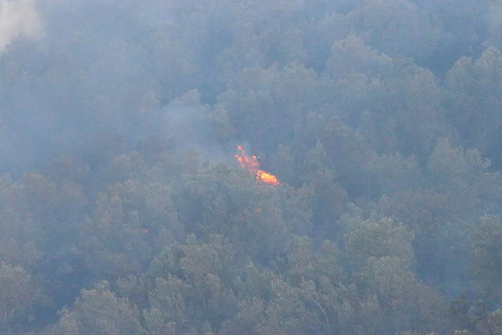 Izmir Orman Yangini 19062024 Aa (4)