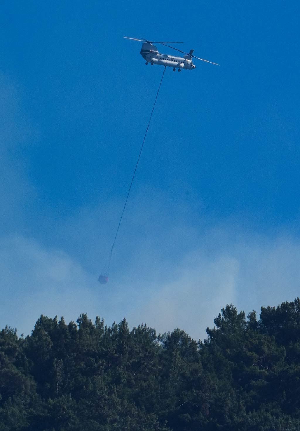 Izmir Orman Yangini 29062024 Aa (7)