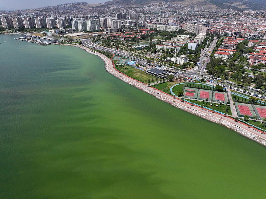 Izmir Plankton Patlamasi 12062024 Aa (10)