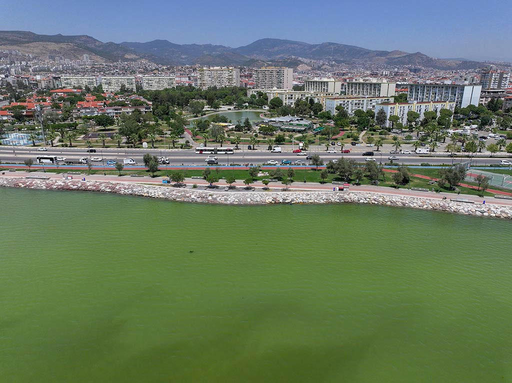 Izmir Plankton Patlamasi 12062024 Aa (11)