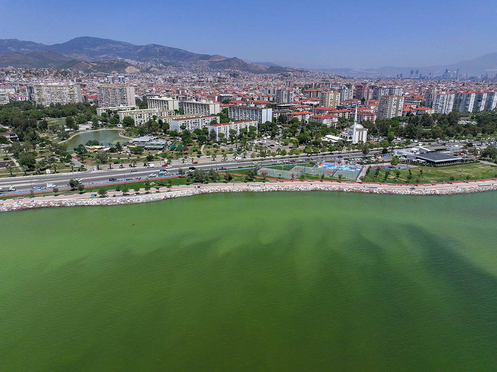 Izmir Plankton Patlamasi 12062024 Aa (12)