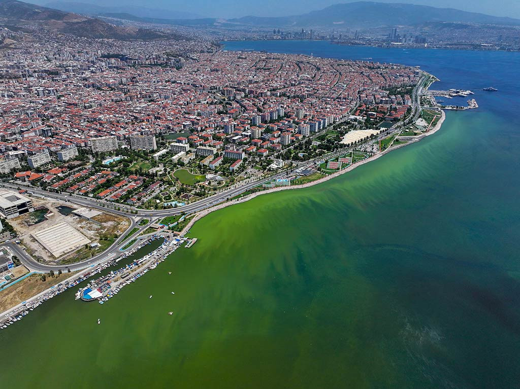 Izmir Plankton Patlamasi 12062024 Aa (3)