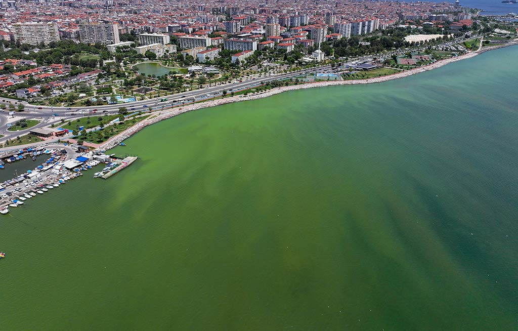 Izmir Plankton Patlamasi 12062024 Aa (4)