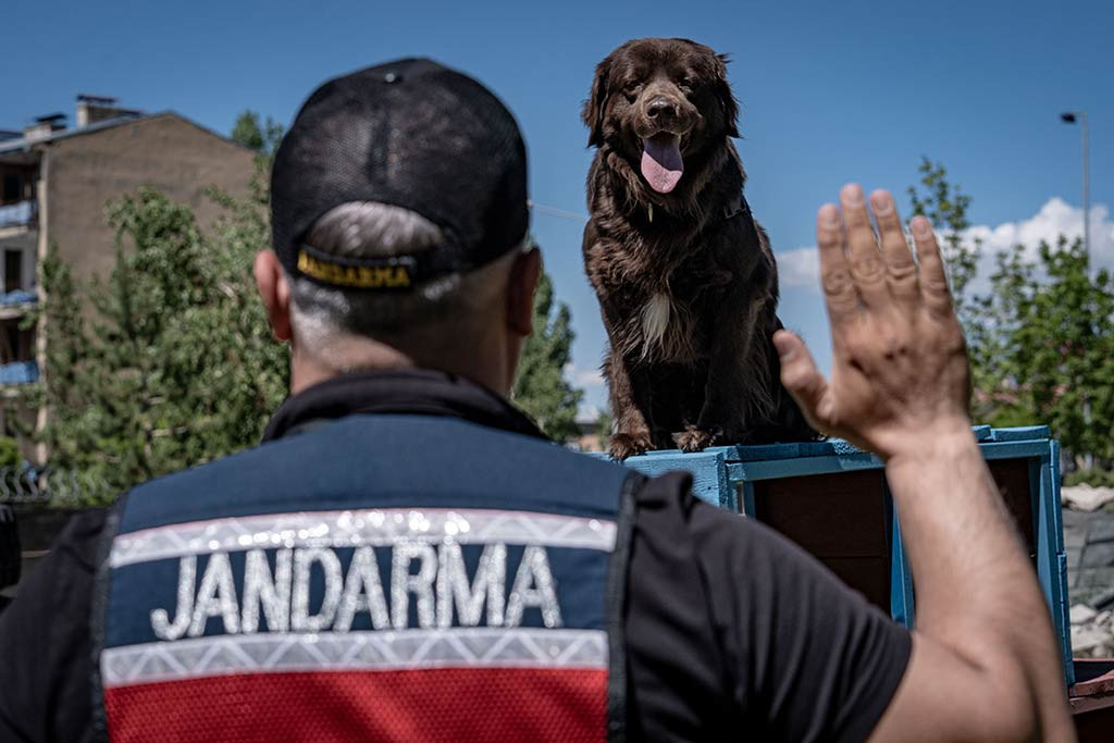 Jandarma Uyusturucu Kopekleri 06062024 Aa (20)