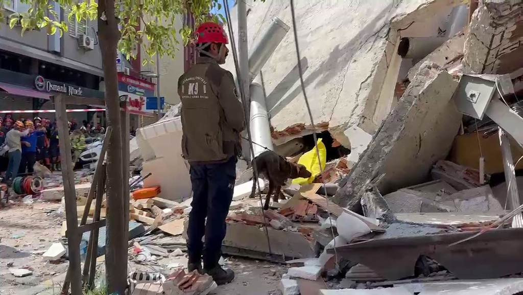 Kucukcekmece Bina Coktu Kopek 02062024 Iha (1)