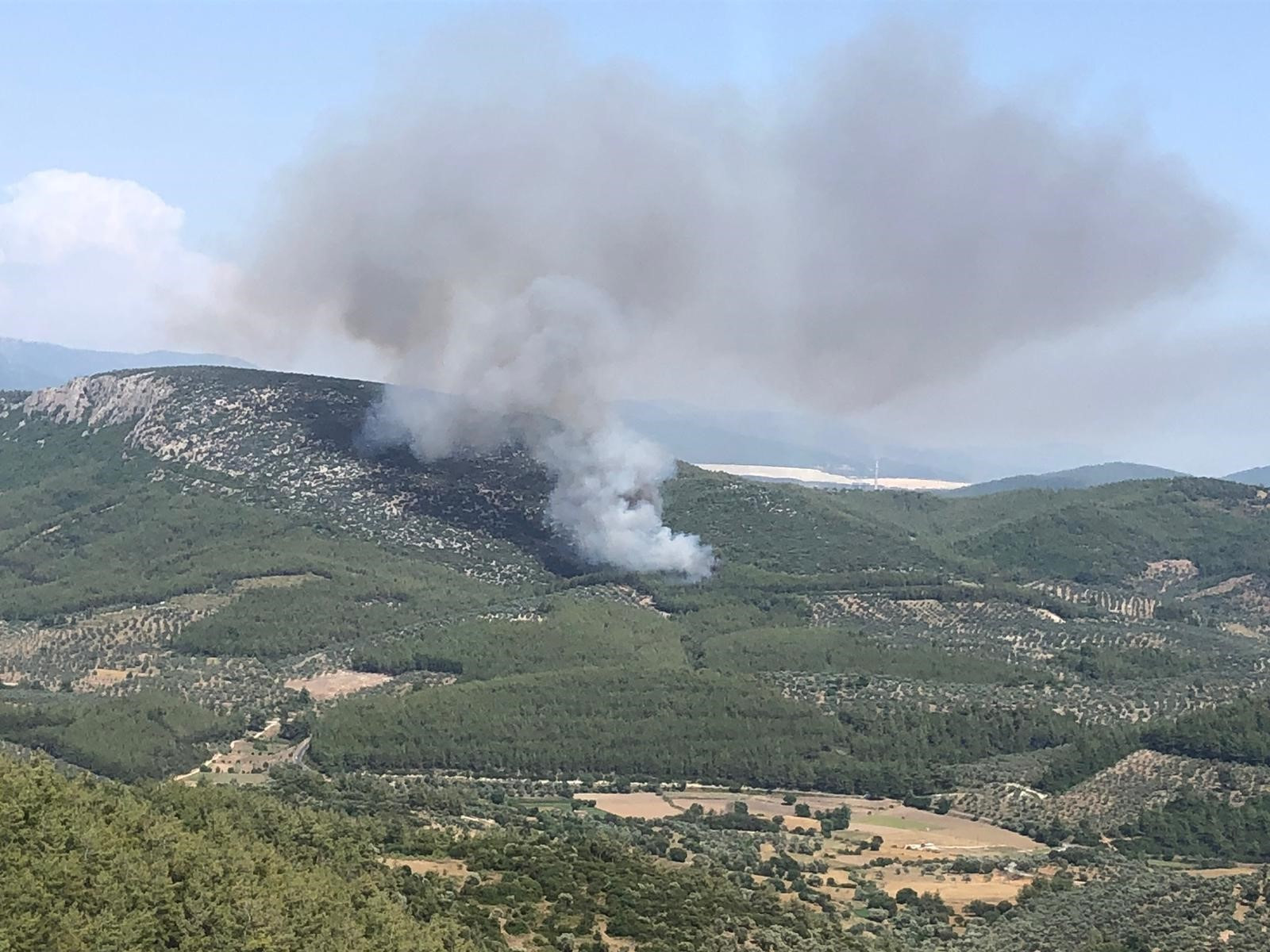 Milas Orman Yangini 04062024 Iha2