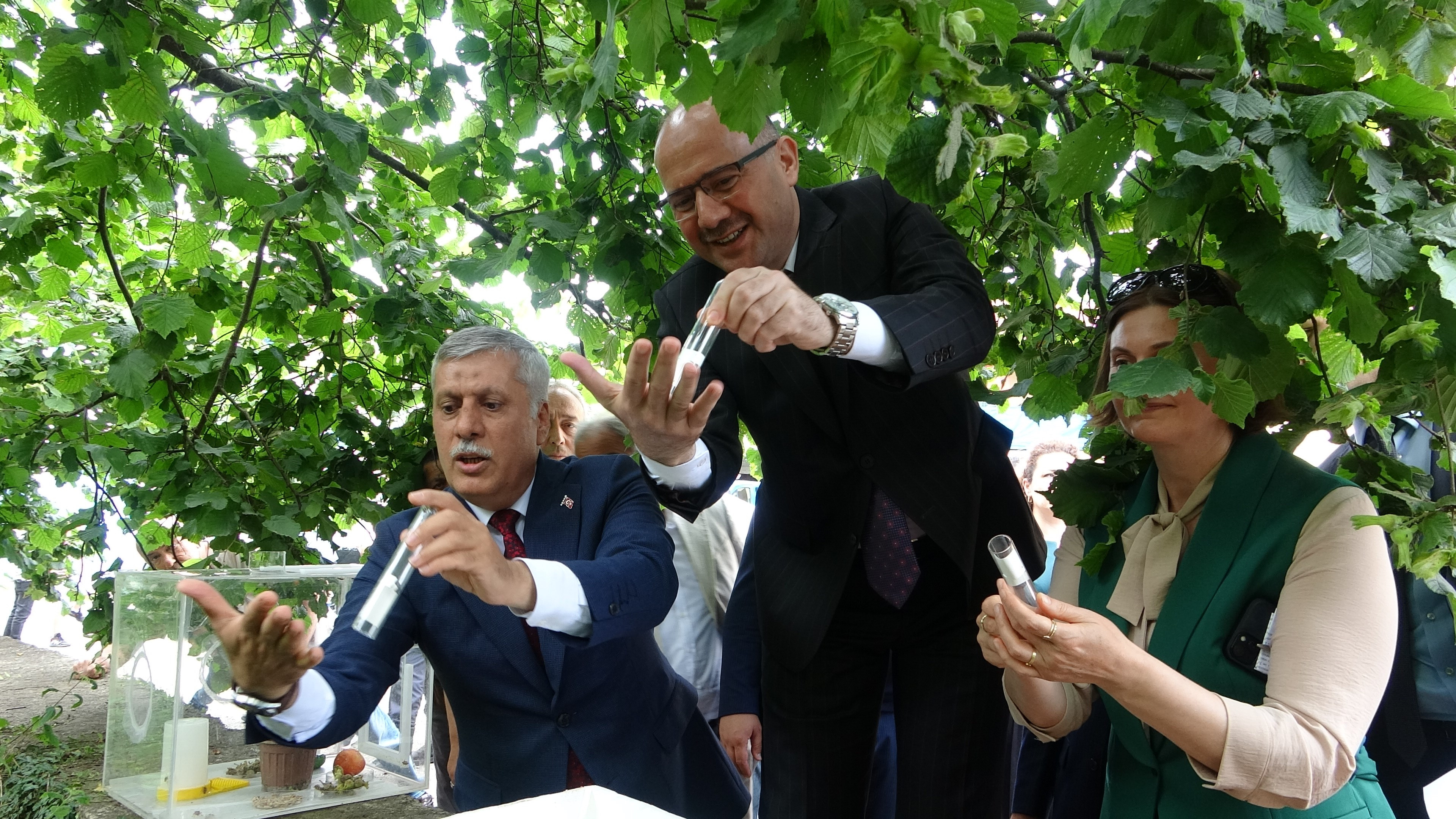 Samuray Ari̇ 2