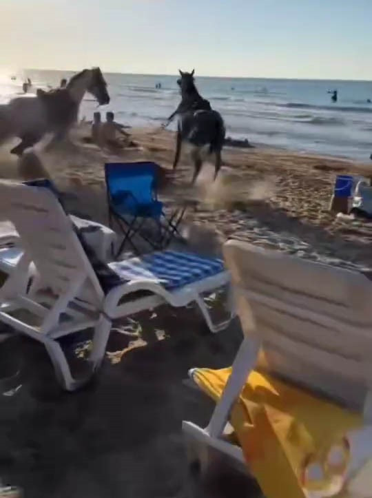 Sile Plaj Atlar 19062024 Iha (2)