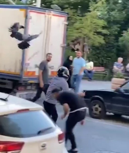 Sultangazi Karga Saldirisi 11062024 Iha