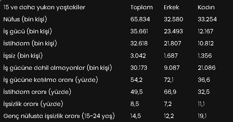 Tuik Issizlik Grafik