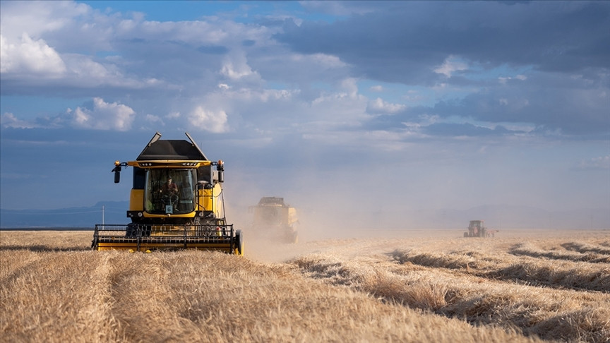 Thumbs B C 34E099Ed97B3B99Ab17Cf9C052Bbcc02