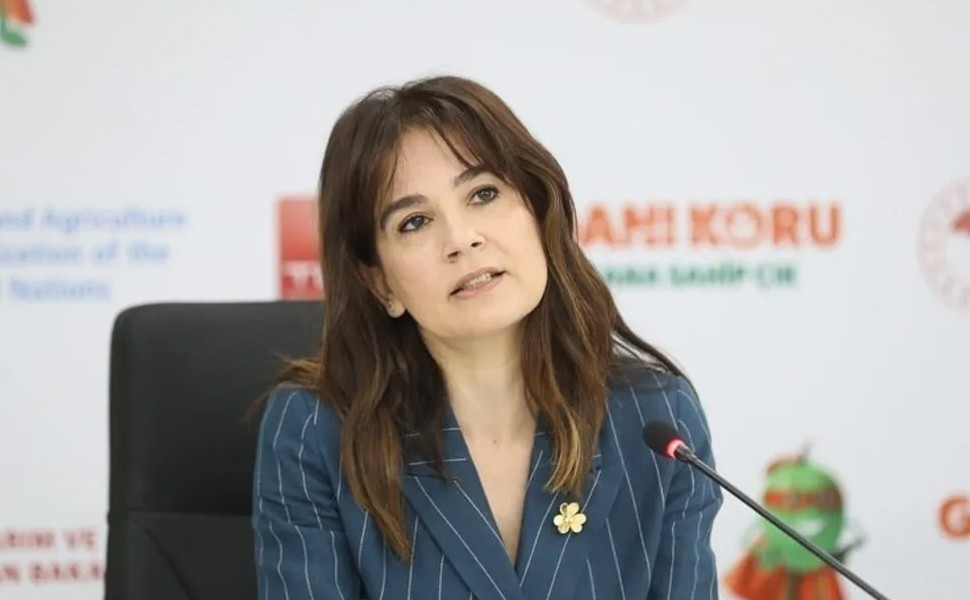 Detaydiyet1